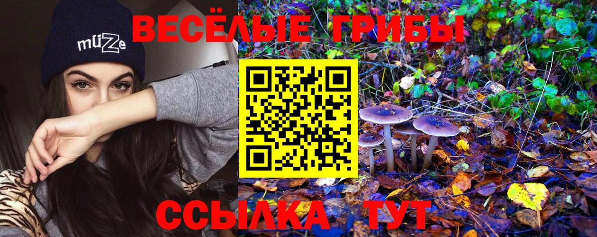Галлюциногенные грибы мухоморы Конаково